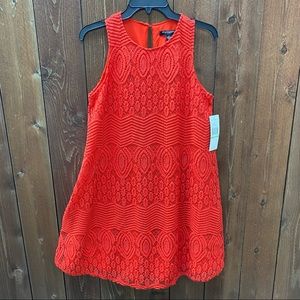 Sharagano crochet dress, amazing color and texture